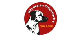 hundezucht-rhodesian-ridgeback-viacanis.de